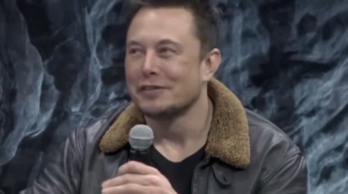 Elon Musk Too Much GIF