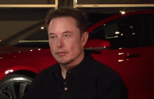 Tugcekulas Elon Musk GIF