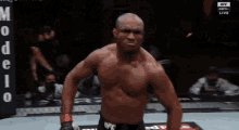 Mma Kamaru GIF