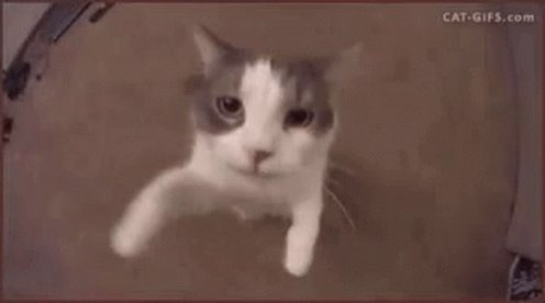 Come Here Hugs GIF