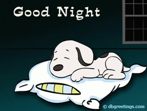 Snoopy Nite GIF