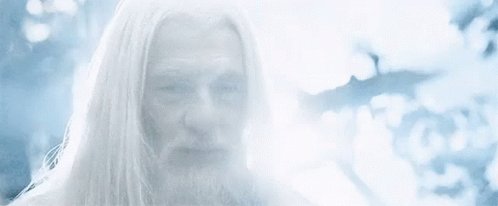 Im Here Gandalf GIF