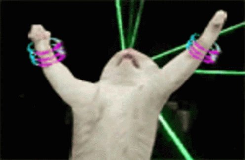 Happy Rave GIF