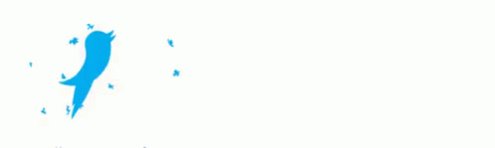 هل وحصل أن واجهت حساب جديد على تويتر ولديه كم من المتابعين وتفاعل؟

أنت بيضه جديدة على تويتر🥚 
بلا ه...