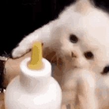 Yo cuando me van a dar mi porción de leche ??? https://t.co/GfS3ZFbnOT