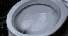 Wasting Money Toilet GIF
