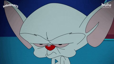 Pinky And The Brain GIF by ...