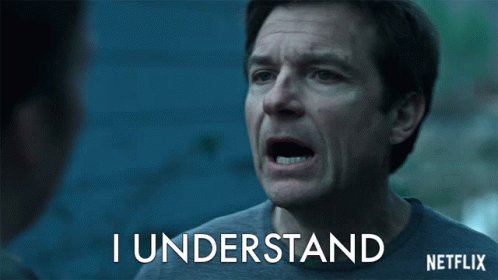 I Understand I Get It GIF