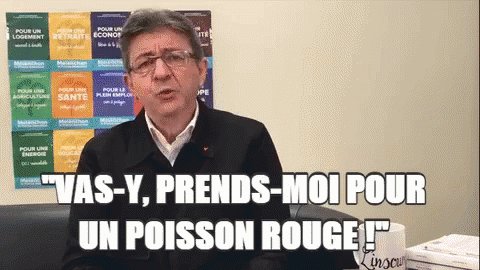 Melenchon Poisson GIF