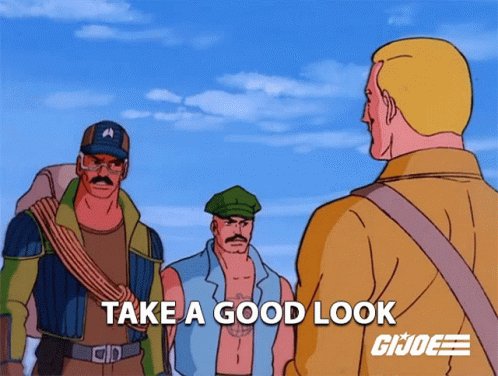 Take A Good Look Alpine GIF