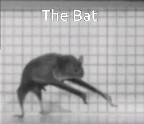 Thebat GIF