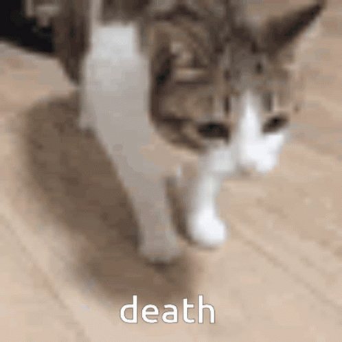 When you render an animation for 6 hours but you don’t really like the lighting so you render it again