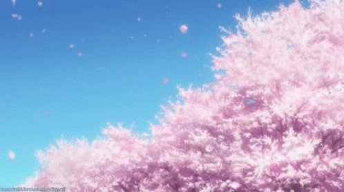 Sakura GIF