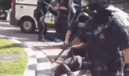 Riots Cops GIF