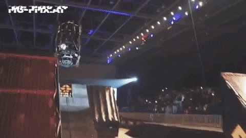 Peter Knoll 🤠 🐱 on Twitter 