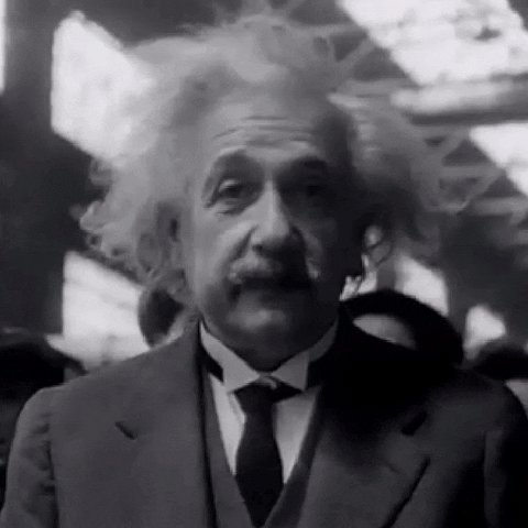 albert einstein GIF