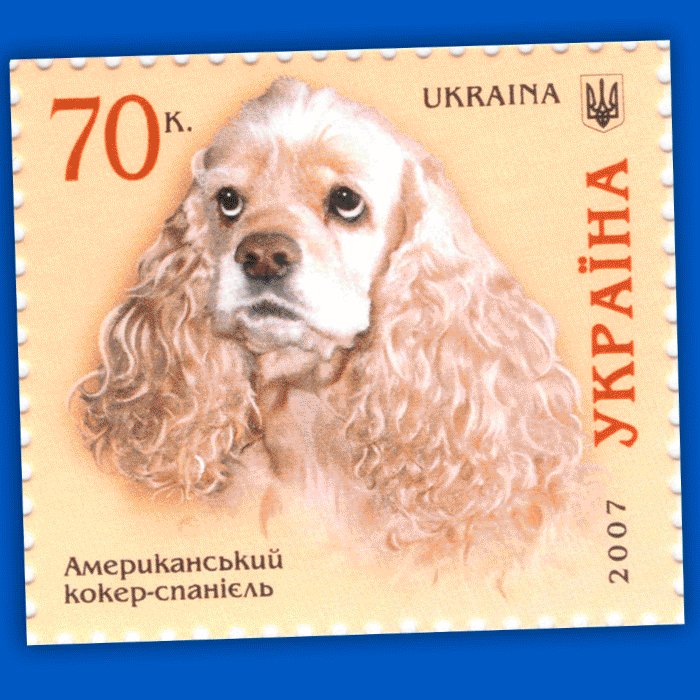 Animation of various postal stamps featuring dog breeds from