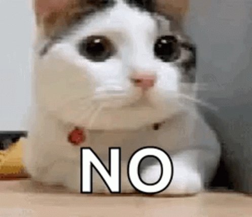 No Cat GIF