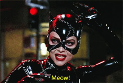 Happy (Late) Birthday to Michelle Pfeiffer! Probably one of the most iconic (movie) catwomen of all time 