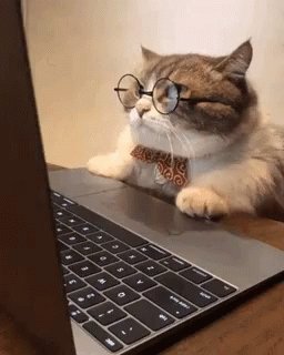 En el gif se ve un gato con...