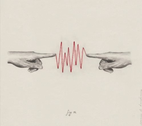 Ekg Heartbeat GIF