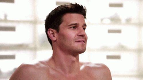 Happy birthday to David Boreanaz! 
