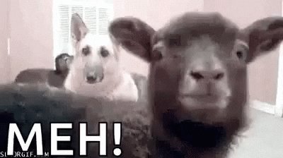 Goat Reaction GIF by MOODMAN