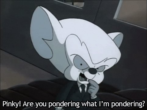 pinky and the brain childhood GIF