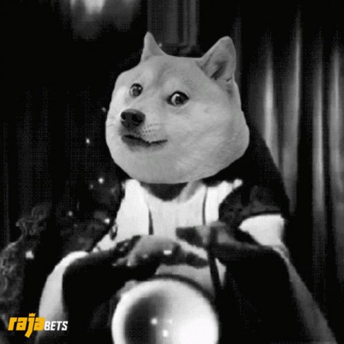 Doge Dogecoin GIF