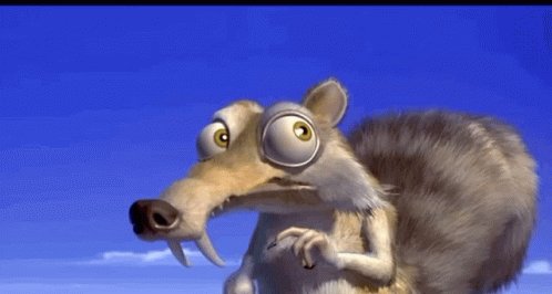 Squirrel Ice GIF