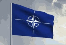 Nato Flag GIF