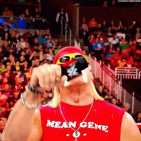 Hulk Hogan Mic Drop GIF