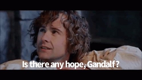 Lord Of The Rings Lotr GIF