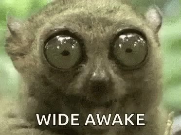 Wide Awake Cant Sleep GIF