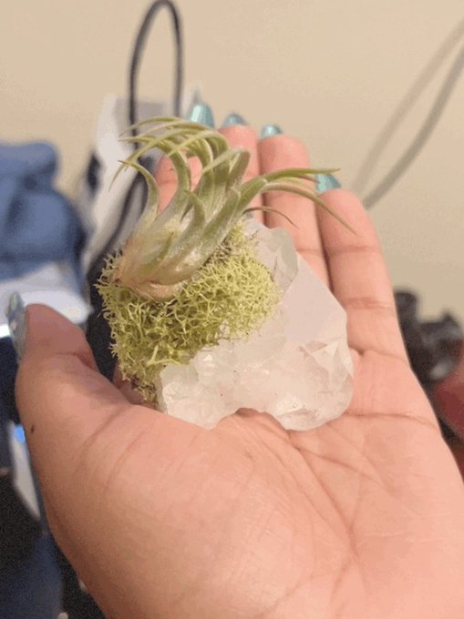 I just got this https://t.co/5S7IG2RnaX<a href="/tag/dbd"class="tags"><span>#dbd</span></a>