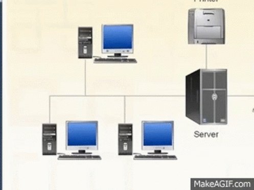 Lan Network GIF