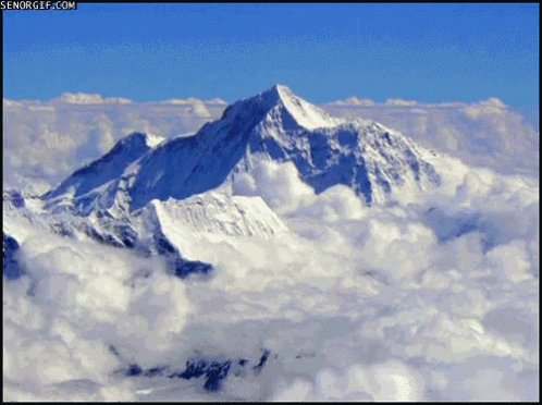 Cat Running Through Mountains GIF