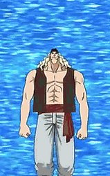 one piece op GIF