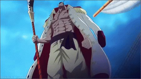 Whitebeard One Piece GIF