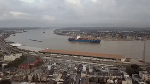 new orleans louisiana GIF