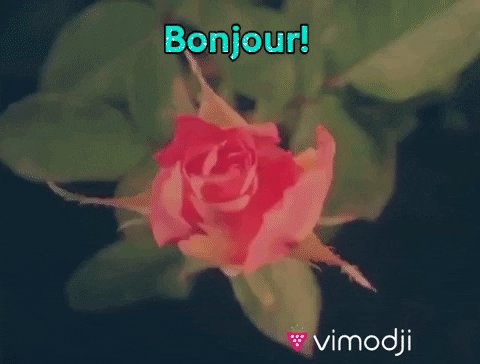 Bonjour Bon Matin GIF by Vi...