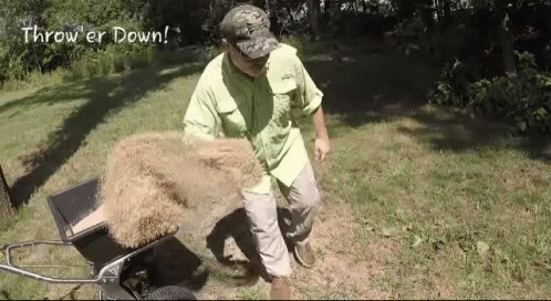 Lcn Lawn GIF