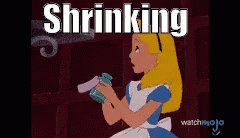 Shrinking GIF