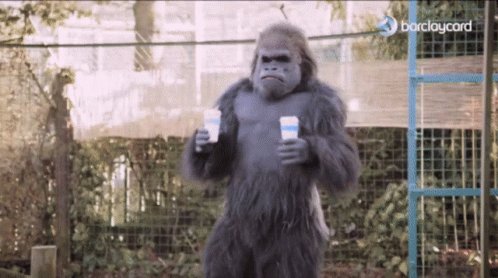 Monkey Ape GIF