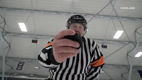 Vgkpuck Puck Drop GIF