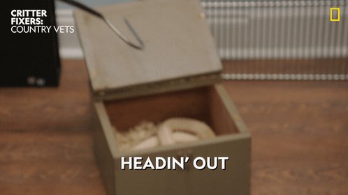 Image of this social media content