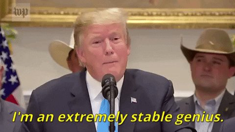 Donald Trump Stable Genius GIF