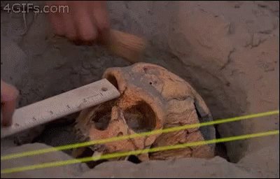 Archaeology Fail GIF