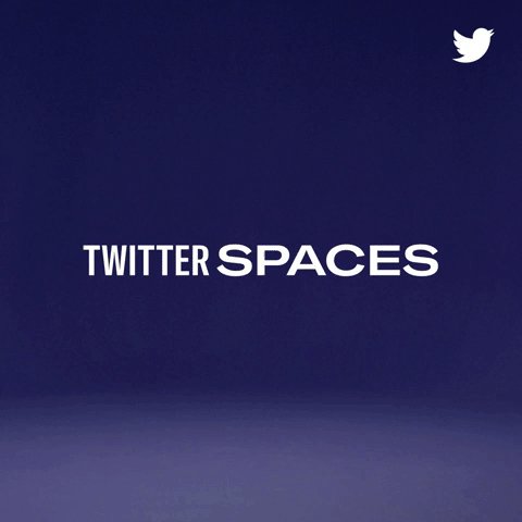 The text, “Twitter Spaces” ...