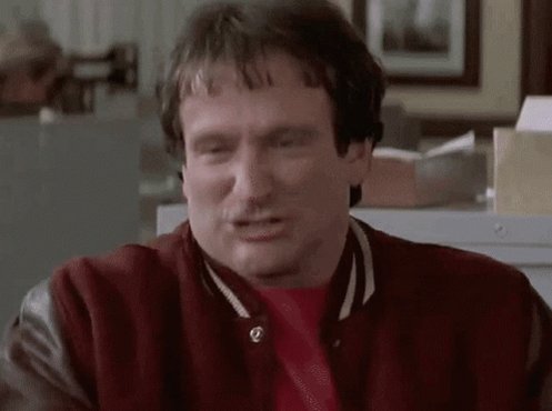 Rrobin Williams Yes GIF